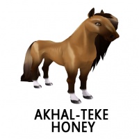 Akhal-Teke Honey