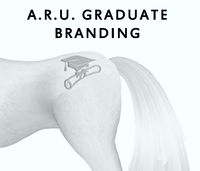 A.R.U. Graduate Branding