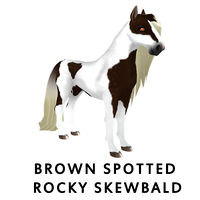 Brown Spotted Rocky Skewbald