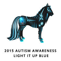 2015 Autism Awareness Light it up Blue