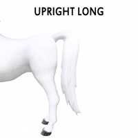 Upright Long Tail