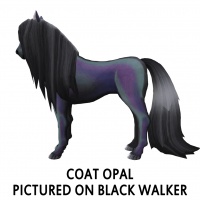 Coat Opal