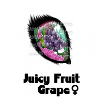 Juicy Fruit - Grape