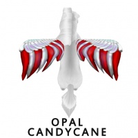 Opal Candy Cane