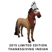 2015 Limited Edition - Thanksgiving Indian