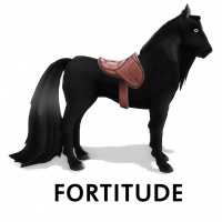 Saddle Fortitude