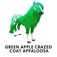 Green Apple Crazed Coat Appaloosa