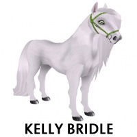 Kelly Bridle