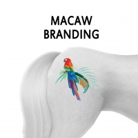 Macaw Branding