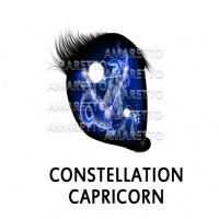 Constellation - Capricorn January 1 -January 31, 2021