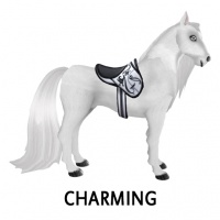 Charming Saddle