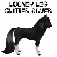 Looney Leg Glitter Silver