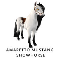 Amaretto Mustang Showhorse Front