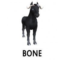 Bone