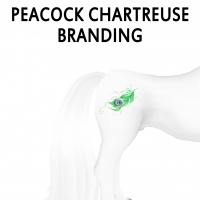 Peacock Chartreuse Branding