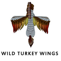 Wild Turkey Wing