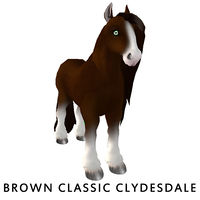 Brown Classic Clydesdale