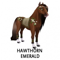 Hawthorn Emerald Akhal-Teke