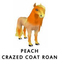 Peach Crazed Coat Roan