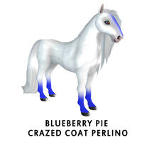 Blueberry Pie Crazed Coat Perlino