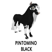 Pintomino Black