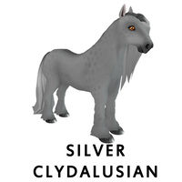 Silver Clydalusian