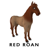 Red Roan