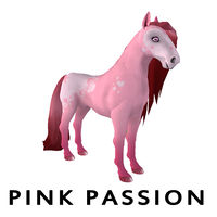 Amaretto Limited Edition Pink Passion