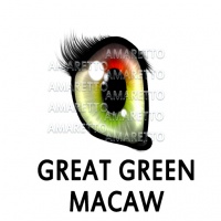 Great Green Macaw