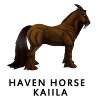 Haven Horse - Kaiila