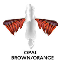 Opal Brown/Orange