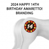 2024 Happy 14th Birthday Amaretto!