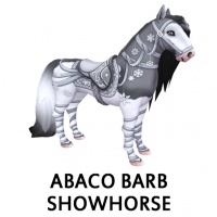 Abaco Barb Showhorse