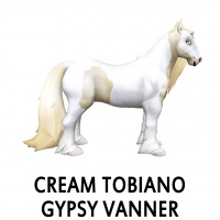 Cream Tobiano Gypsy Vanner