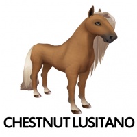 Chestnut Lusitano