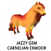 Jazzy Gem - Carnelian Exmoor