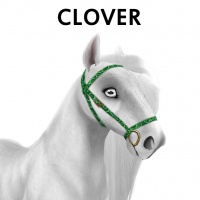 Clover Bridle