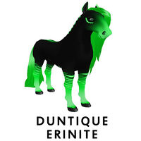 Duntique Erinite