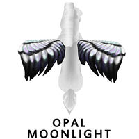 Opal Moonlight