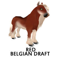 Red Belgian Draft