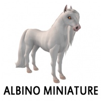 Albino Miniature Front