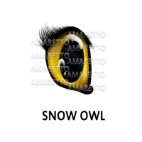 Snow Owl