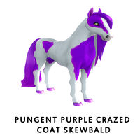 Pungent Purple Crazed Coat Skewbald