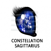 Constellation - Sagittarius December 1 – December 31, 2020