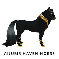 Haven Horse - Anubis