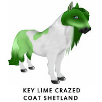 Key Lime Crazed Coat Shetland