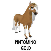 Pintomino Gold