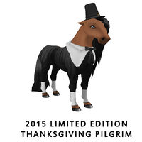 2015 Limited Edition - Thanksgiving Pilgrim