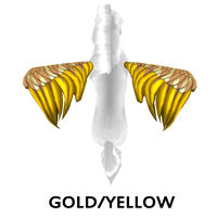 Gold/Yellow