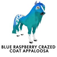 Blue Raspberry Crazed Coat Appaloosa